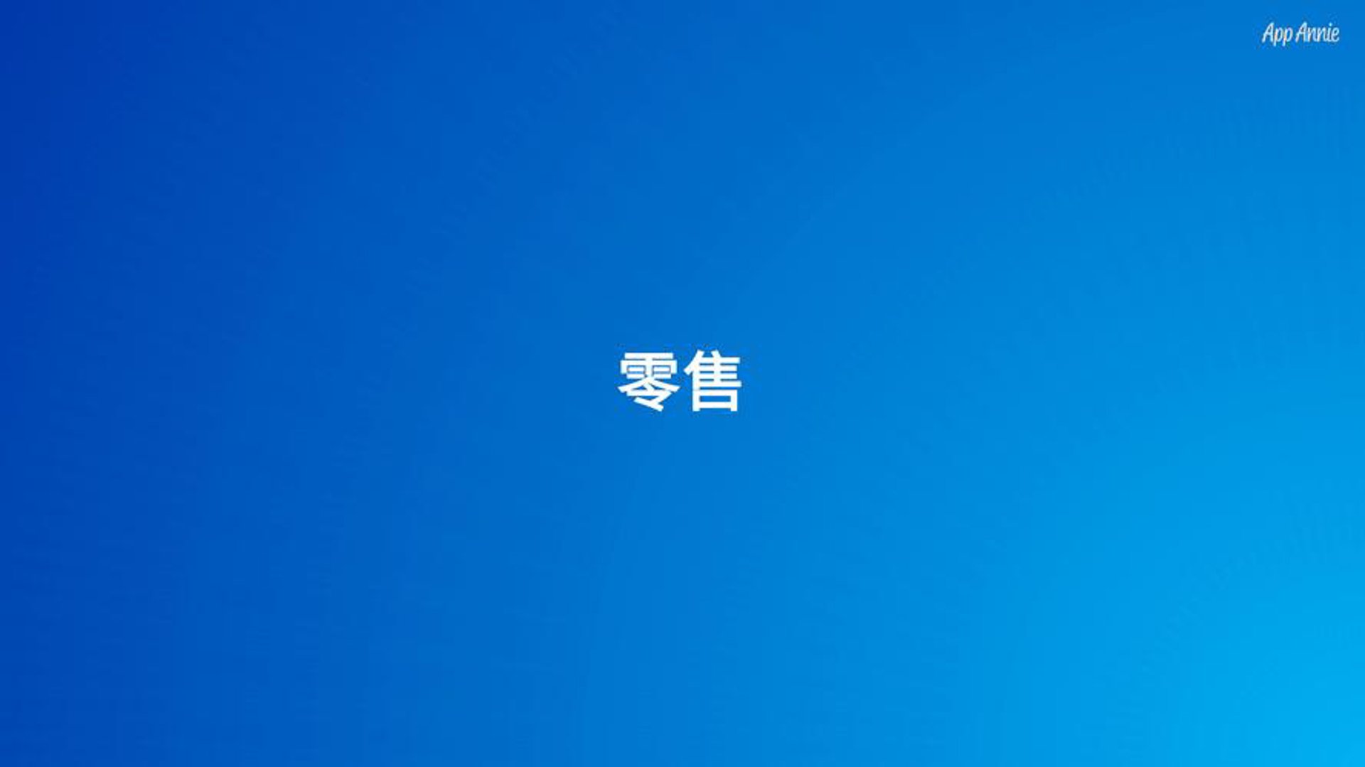 新丽美凯电商